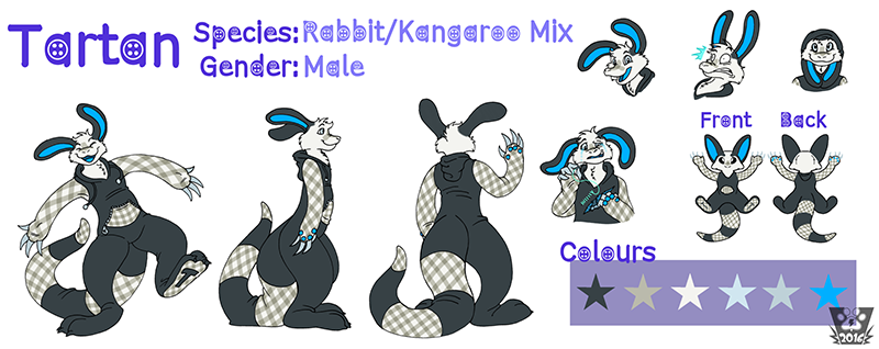 Click me for a full view! Tartan's Model Sheet